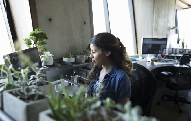 Improve Your Workplace by Adding Plants